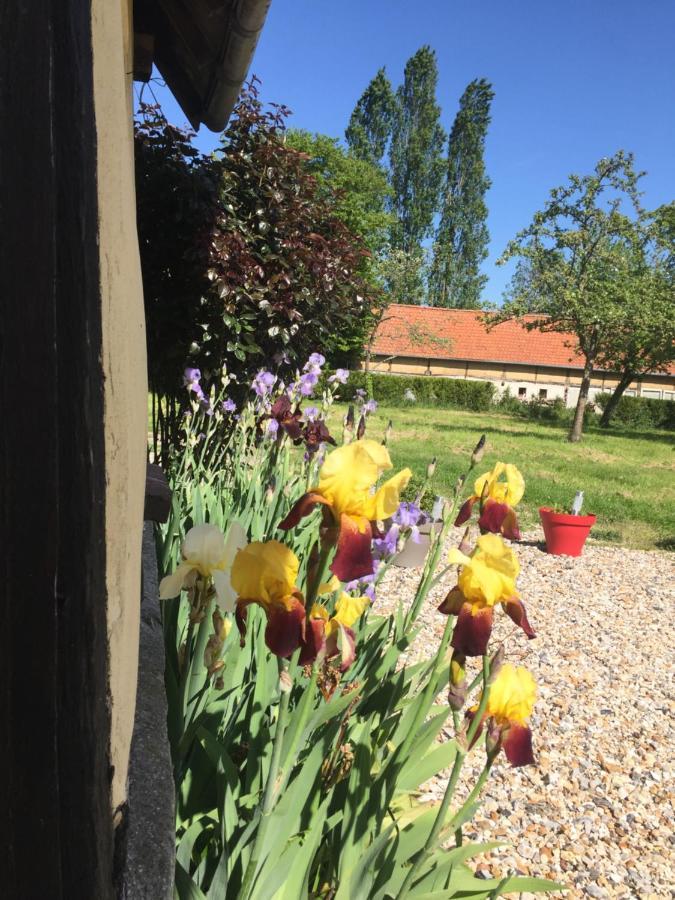 Charmante Maison Entre Les Pommiers Fresne-le-Plan Zewnętrze zdjęcie